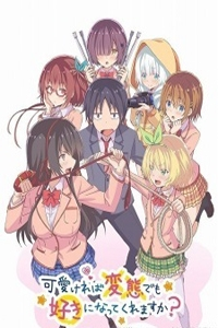 Kawaikereba Hentai demo Suki ni Natte Kuremasu ka?